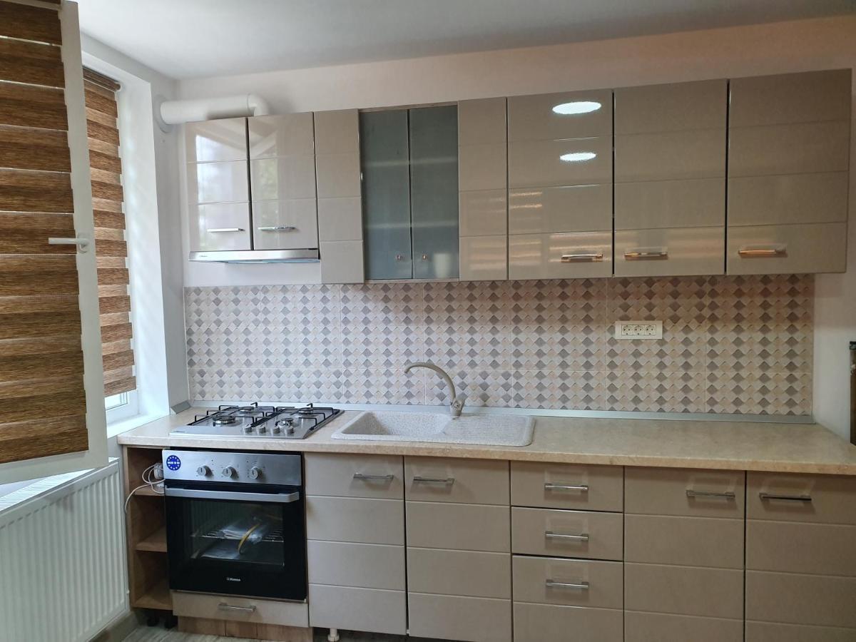Apartament Negris Bîrlad Extérieur photo