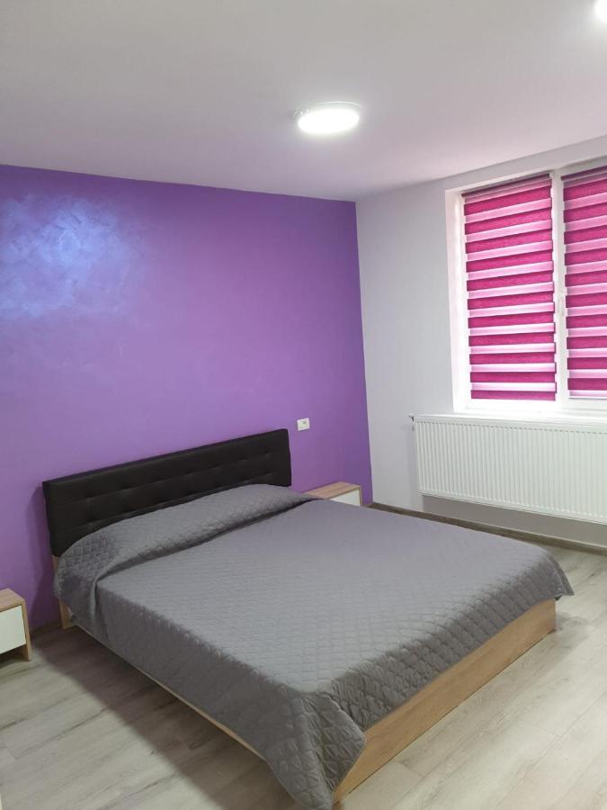 Apartament Negris Bîrlad Extérieur photo